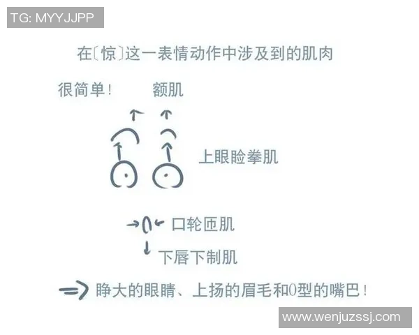 国际标准足球尺寸解析及其对比赛的影响与应用探讨 国际标准足球尺寸解析及其对比赛的影响与应用探讨