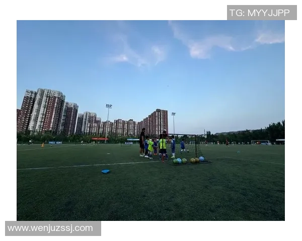 夏南足球场的魅力与激情探索足球文化的热血之旅