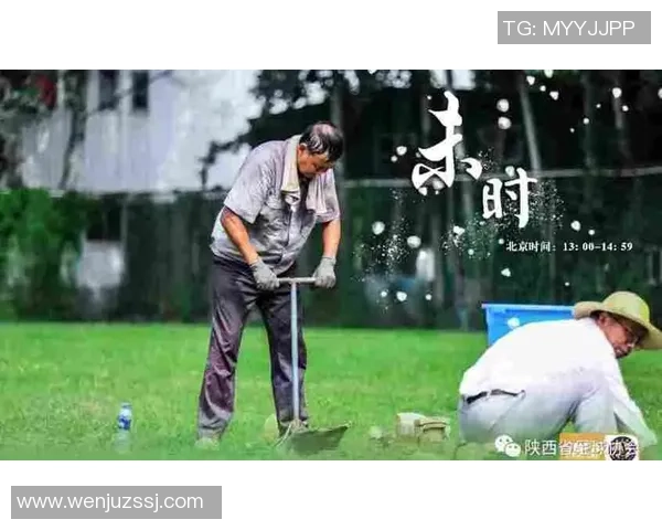 在绿茵场上追逐梦想的青春岁月足球小说杨帆的成长之路 在绿茵场上追逐梦想的青春岁月足球小说杨帆的成长之路